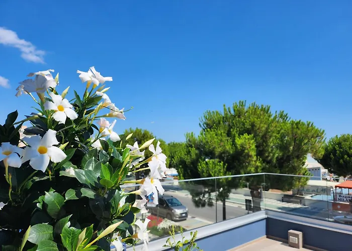 住宿加早餐酒店 Frontemare E Elisabetta 4*