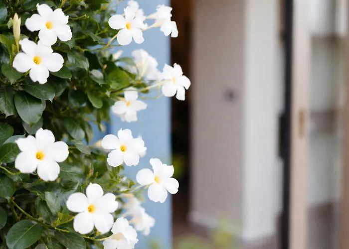 Frontemare E Elisabetta 4* Cesenatico